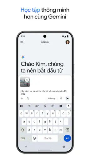 Google Gemini screenshot