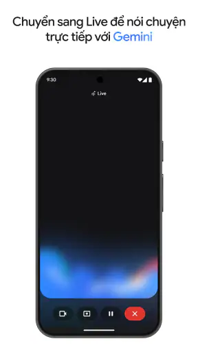 Google Gemini screenshot