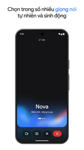 Google Gemini screenshot