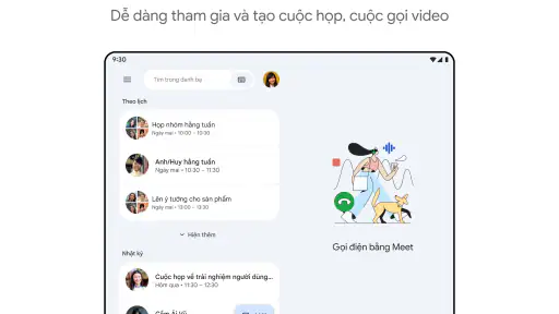 Google Meet screenshot