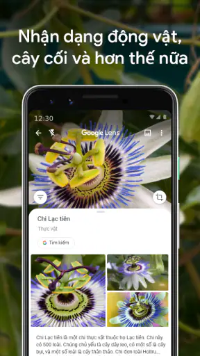 Google Ống kính screenshot