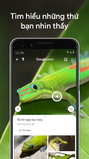 Google Ống kính screenshot
