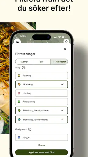 Hitta Skog: Svamp och Bär screenshot
