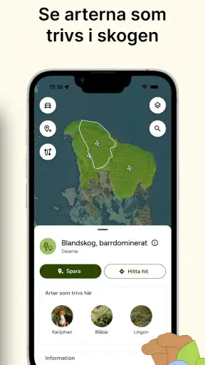 Hitta Skog: Svamp och Bär screenshot