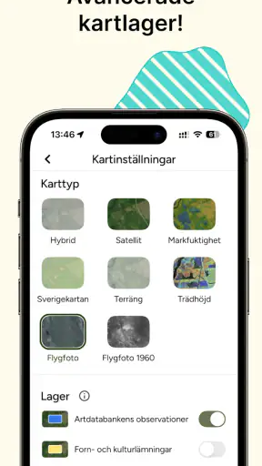 Hitta Skog: Svamp och Bär screenshot