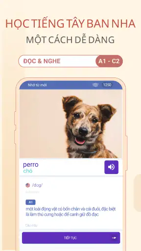 Học Tiếng Tây Ban Nha Dễ Dàng screenshot