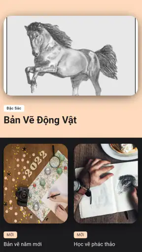 Học Vẽ Anime & Hoạt Hình screenshot