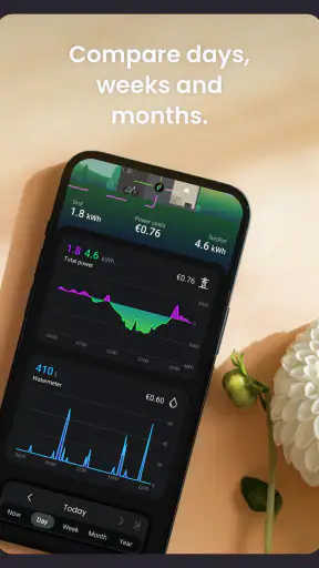 HomeWizard Energy screenshot