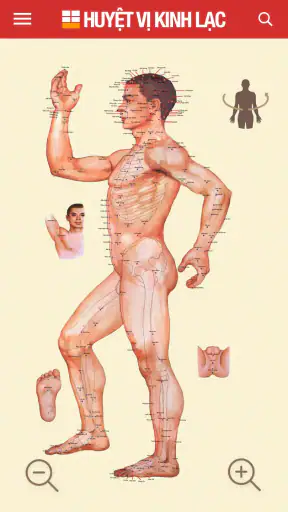 Huyệt vị Kinh Mạch screenshot