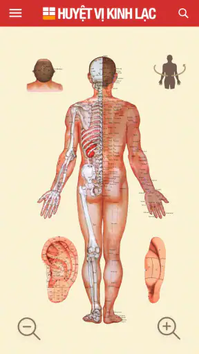 Huyệt vị Kinh Mạch screenshot