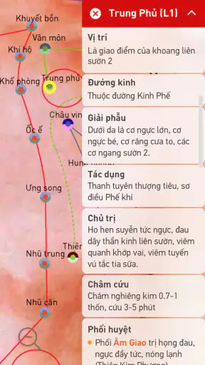 Huyệt vị Kinh Mạch screenshot