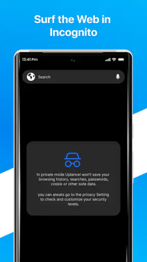 Internet Explorer Browser screenshot