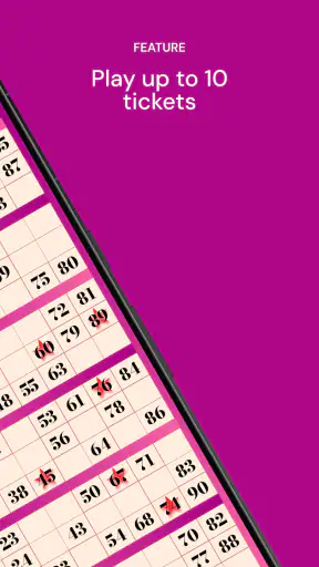 Lucky Bingo screenshot