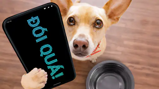 Màn hình LED screenshot