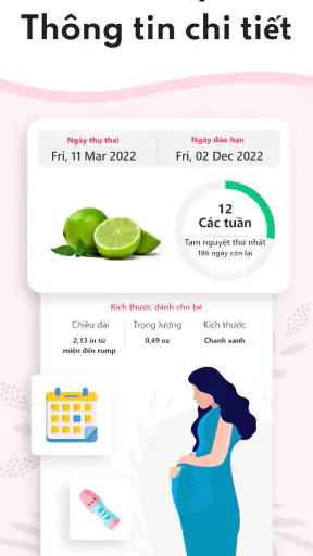 Máy tính thai kỳ tuần qua tuần screenshot