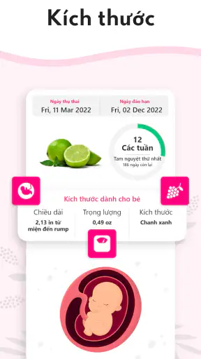 Máy tính thai kỳ tuần qua tuần screenshot