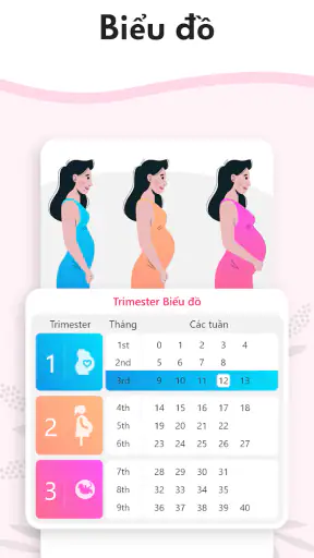 Máy tính thai kỳ tuần qua tuần screenshot