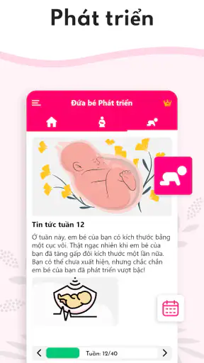 Máy tính thai kỳ tuần qua tuần screenshot
