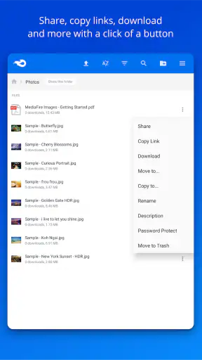 MediaFire screenshot