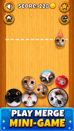 Meme Cat Sim: Cozy Home screenshot
