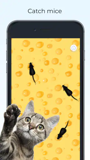 Meow- Trò Chơi Cho Mèo Đồ Chơi screenshot