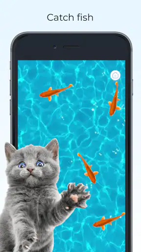 Meow- Trò Chơi Cho Mèo Đồ Chơi screenshot