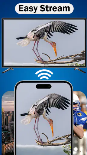 MirrorLink screenshot