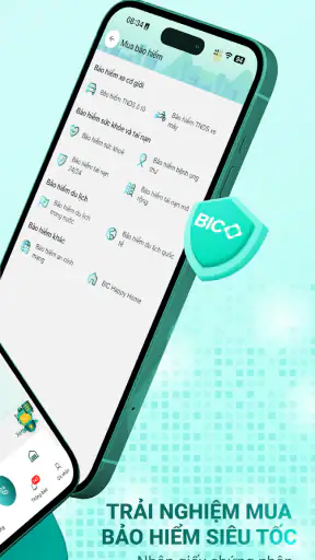 My BIC screenshot