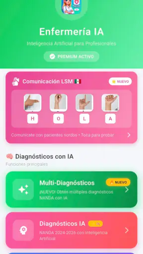 NANDA 2024 Diagnósticos IA screenshot