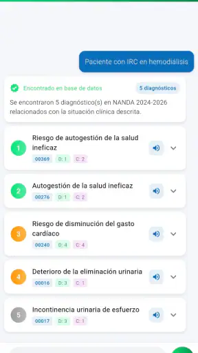 NANDA 2024 Diagnósticos IA screenshot