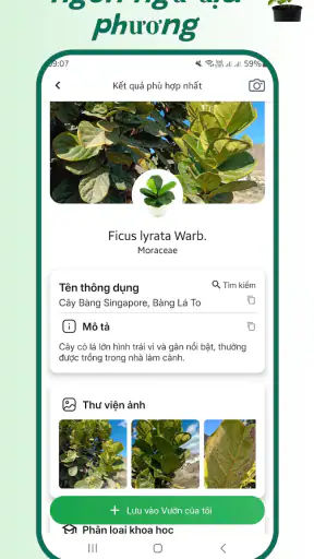 Nhận diện cây trồng screenshot