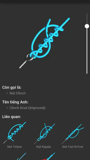 Nút 3D ( Knots 3D ) screenshot