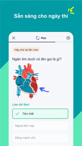 Quizlet: Học với Flashcards screenshot