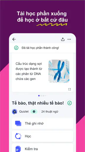 Quizlet: Học với Flashcards screenshot