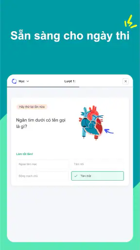 Quizlet: Học với Flashcards screenshot