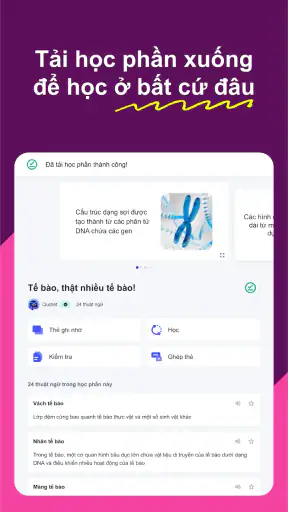 Quizlet: Học với Flashcards screenshot