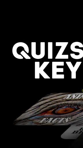 Quizstorm® Keypad screenshot