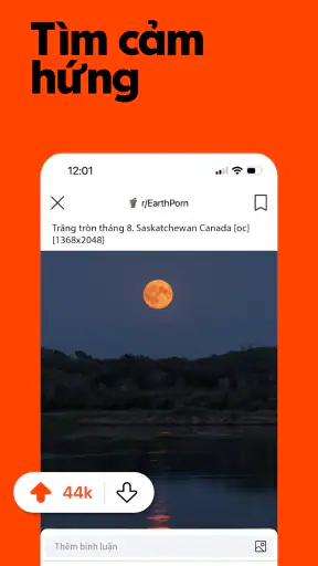 Reddit screenshot