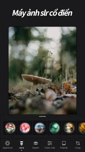 ReLens - Lấy nét &Làm mờ DSLR screenshot
