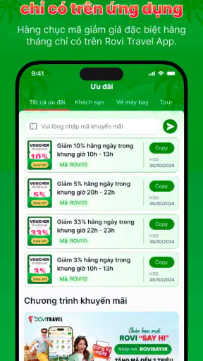 Rovi Travel screenshot