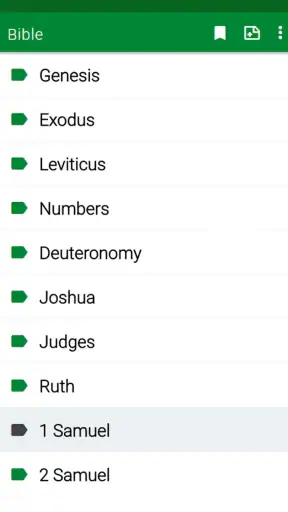 RSV Bible screenshot