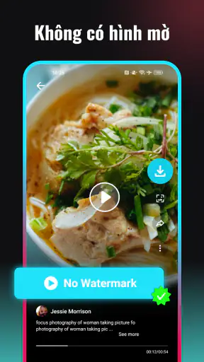 SnapTik - Tải TT Video Ko Logo screenshot