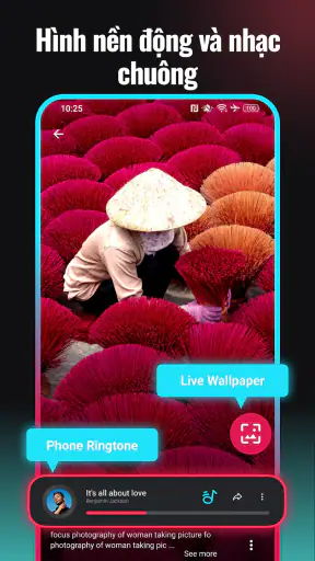 SnapTik - Tải TT Video Ko Logo screenshot