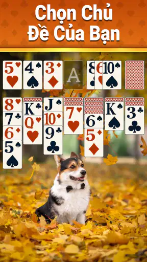 Solitaire Cổ Điển - 2026 screenshot