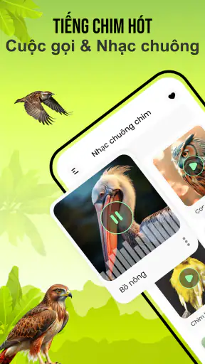 Tiếng chim hót screenshot