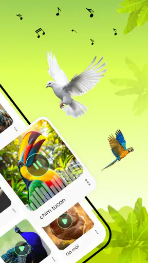 Tiếng chim hót screenshot