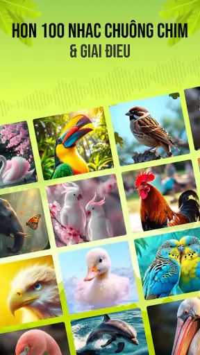 Tiếng chim hót screenshot