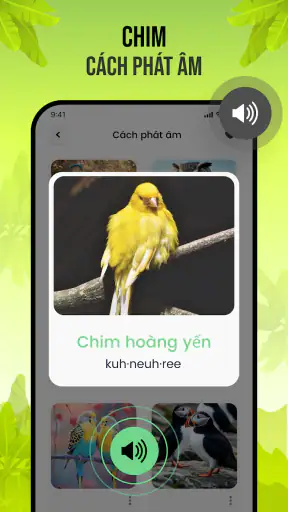 Tiếng chim hót screenshot