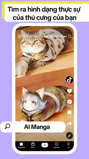 TikTok - Video, Shop & LIVE screenshot
