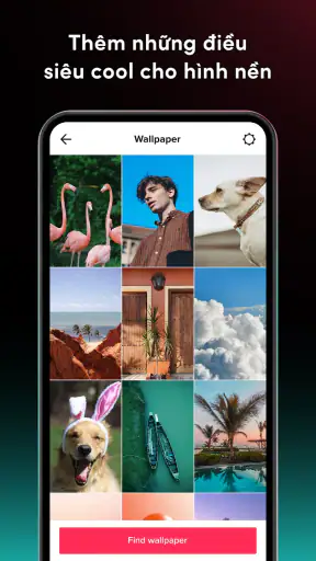 TikTok Video Wallpaper screenshot
